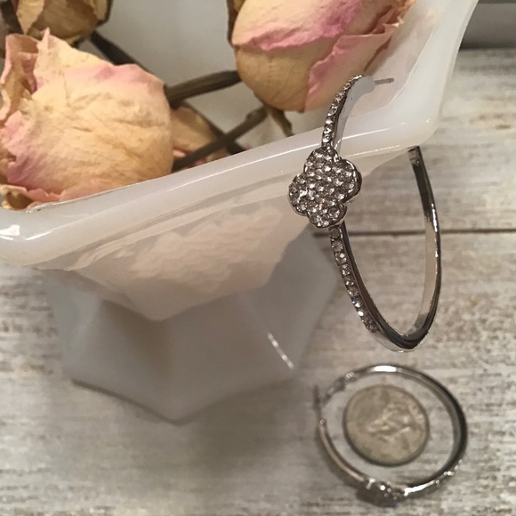 Clover Hoops - Picture 4 of 4
